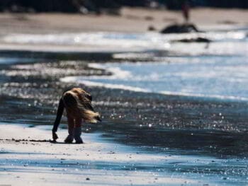 Vale la pena vivir Vale la pena vivir