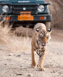 Paradigmas de un turismo diversificado y sostenible