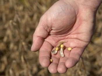 Mercado de trabajo agrario en la patagonia Argentina Mercado de trabajo agrario en la patagonia Argentina