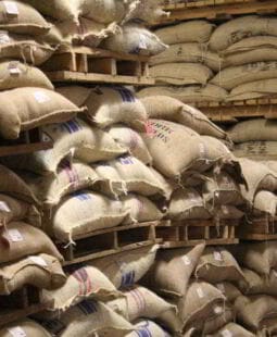 Incidencia del precio interno del café en los estados financieros de Eco Café S.A en Colombia