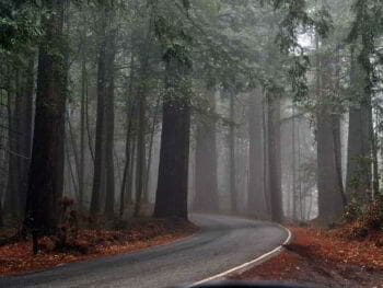 La curva de experiencia o aprendizaje y su importancia