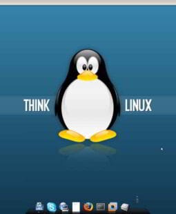 Linux y las iniciativas de software libre