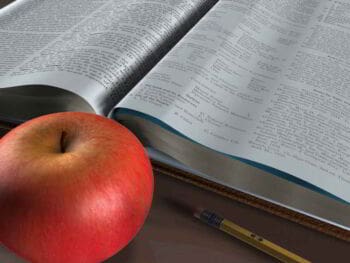 Papel de la investigación de mercados Papel de la investigación de mercados