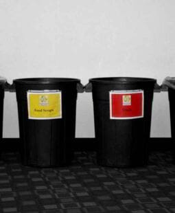 Contabilidade ambiental como sistema de informações