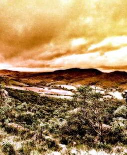 O despertar de uma consciência ecológica na contabilidade