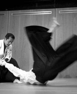 O impacto da contabilidade no sistema de gestão fiscal