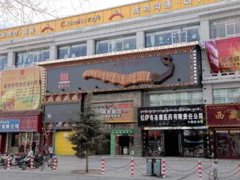 Oportunidades comerciales con China Oportunidades comerciales con China