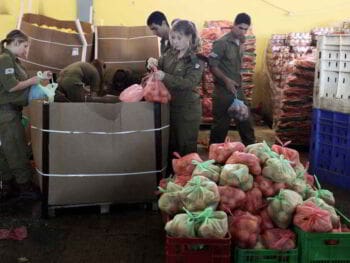 Implementación de CRM en una empresa de alimentación