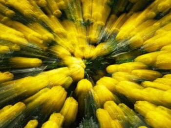 Visión multidimensional en la evaluación del desempeño