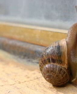 Emprendedores y creatividad