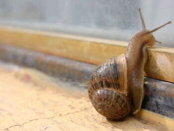 Emprendedores y creatividad