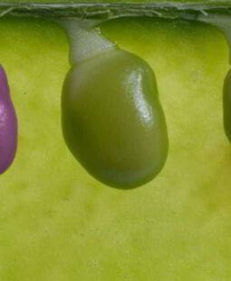 Metodología para lograr la diferenciación laboral en la empresa