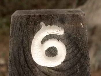 Seis Sigma, preguntas y respuestas