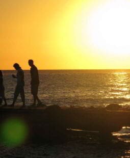 Juicio crítico de la familia antes y después del Mobbing