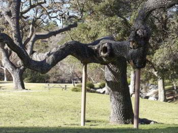 Cambio organizacional como soporte de la competitividad