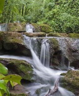 A contribuição do contabilista para o desenvolvimento sustentável