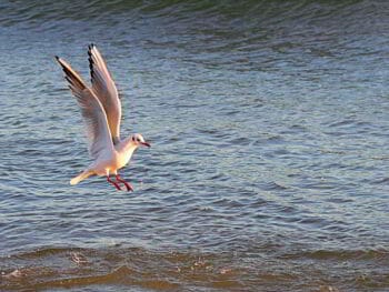 Enfoque empresarial para una mejor gestión de los recursos Enfoque empresarial para una mejor gestión de los recursos