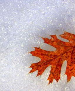 Las estaciones del año y las etapas de la vida