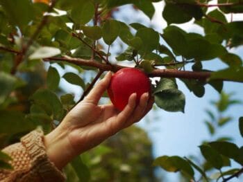 La motivación en el trabajo