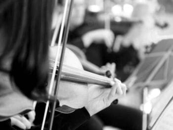 El cerebro y la empresa triunfadora El cerebro y la empresa triunfadora