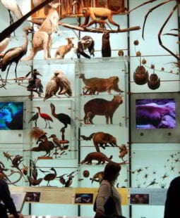 Contratos de prospección biológica o bioprospección