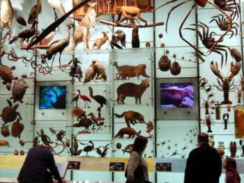 Contratos de prospección biológica o bioprospección Contratos de prospección biológica o bioprospección