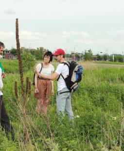 Enseñanza de la mediación en Abogacía en Argentina