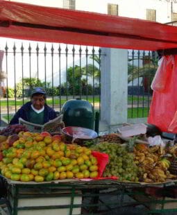 Protección social del sector informal urbano peruano