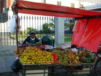 Protección social del sector informal urbano peruano