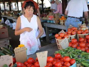 Calidad total en la administración de compras