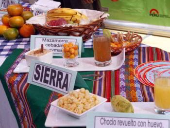 Política nutricional en el Perú