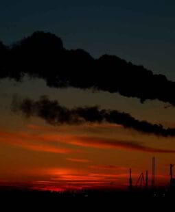 Catarsis reactiva y el reactive factor index RFI para medir el clima organizacional