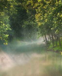Interdisciplinariedad en derecho y educación ambiental