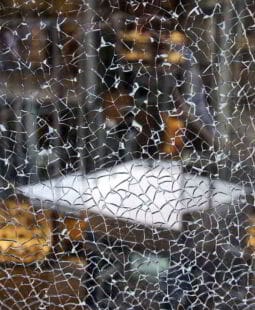 Una historia personal para quebrar paradigmas