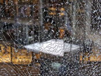 Una historia personal para quebrar paradigmas