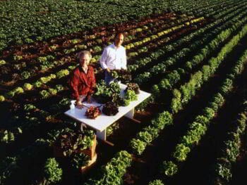 Análisis y planificación de fincas integrales