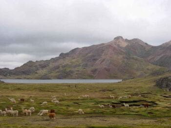 Desarrollo rural y migración en Huancavelica Perú