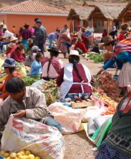 Estrategias y políticas de desarrollo rural, Perú