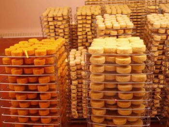 Proyecto de inversión para la creación de una microempresa productora de quesos