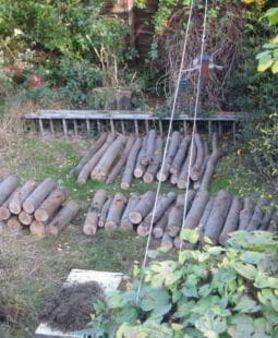 Planificación y diseño del inventario forestal del Salvador