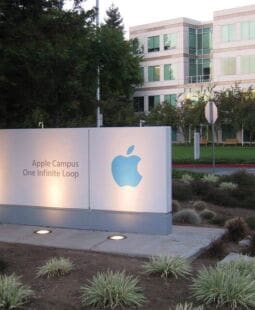 Teoría de la organización