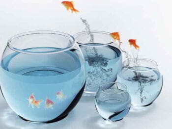 Liderazgo para equipos de alto rendimiento Liderazgo para equipos de alto rendimiento