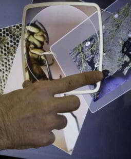 Auditorías de calidad y de gestión en las Normas ISO