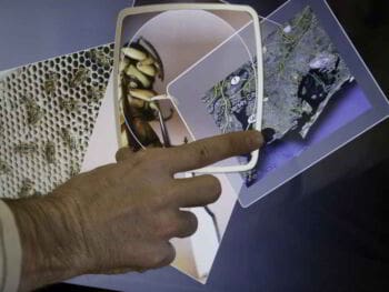 Auditorías de calidad y de gestión en las Normas ISO