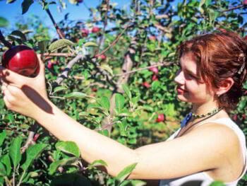 Prueba técnica en procesos de selección de personal Prueba técnica en procesos de selección de personal