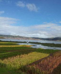 Políticas de desarrollo rural en Perú