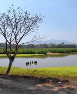 Evaluación rural participativa del Parque Nacional Montecristo