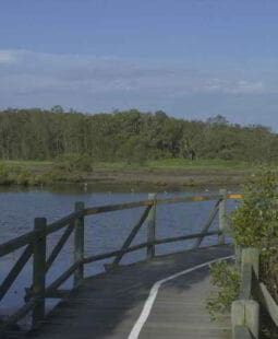 Lineamientos para infraestructura y equipamiento de áreas protegidas