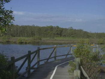 Lineamientos para infraestructura y equipamiento de áreas protegidas