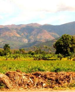 Infraestructura en áreas protegidas del Parque Nacional Sierra de Barouco República Dominicana